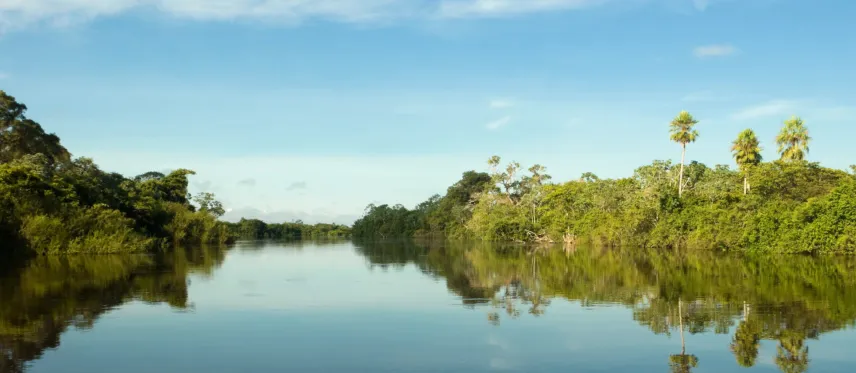 Construindo um futuro sustentável e rentável - 1